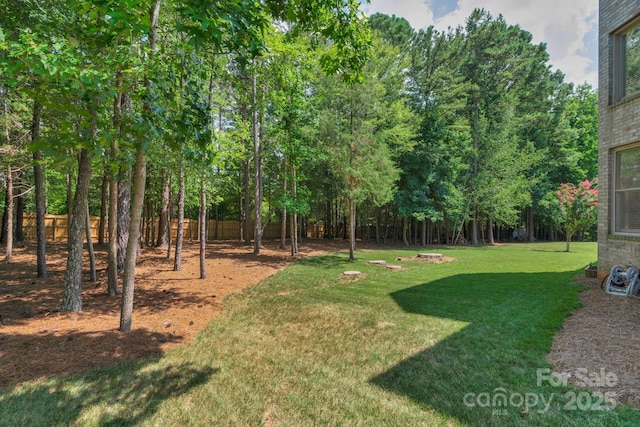 7300 Stonehaven Dr, Waxhaw, NC 28173 - photo 42