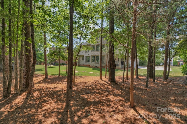 7300 Stonehaven Dr, Waxhaw, NC 28173 - photo 43