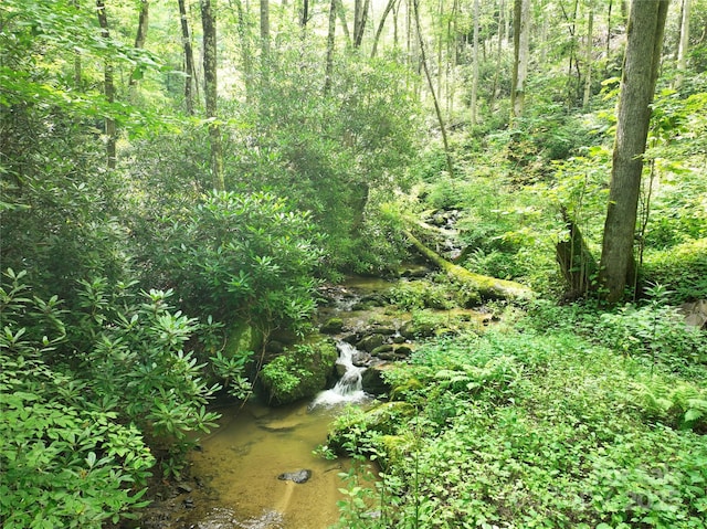3617 Lonesome Mountain Rd, Marshall, NC 28753 - photo 34