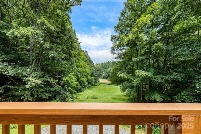 3617 Lonesome Mountain Rd, Marshall, NC 28753 - photo 37