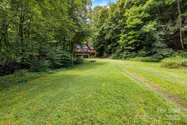 3617 Lonesome Mountain Rd, Marshall, NC 28753 - photo 39