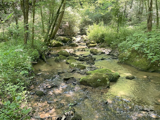 3617 Lonesome Mountain Rd, Marshall, NC 28753 - photo 40