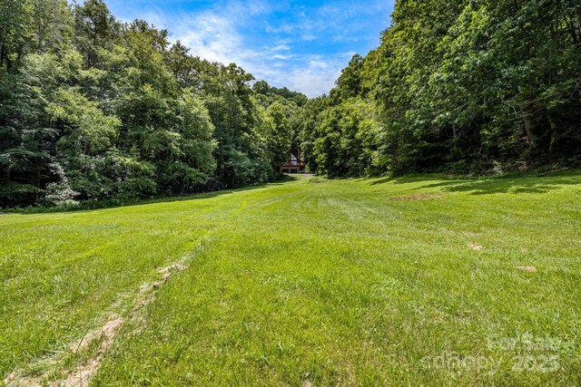 3617 Lonesome Mountain Rd, Marshall, NC 28753 - photo 41