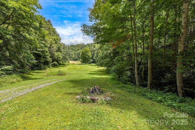 3617 Lonesome Mountain Rd, Marshall, NC 28753 - photo 42