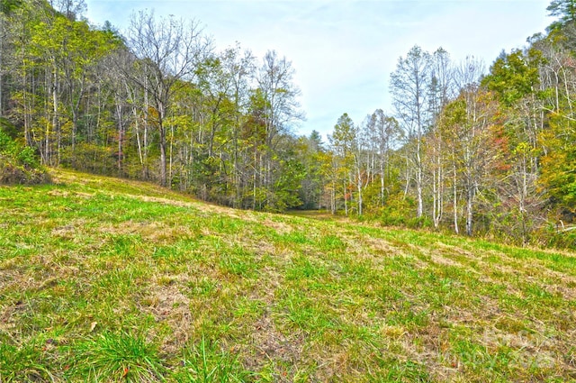 3617 Lonesome Mountain Rd, Marshall, NC 28753 - photo 43