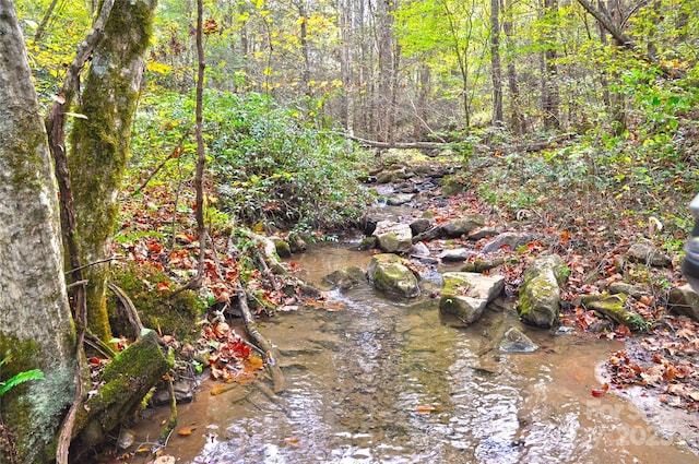 3617 Lonesome Mountain Rd, Marshall, NC 28753 - photo 44