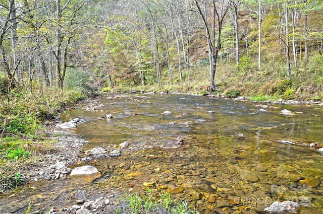 3617 Lonesome Mountain Rd, Marshall, NC 28753 - photo 4