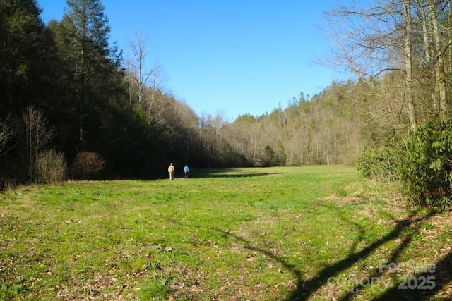 3617 Lonesome Mountain Rd, Marshall, NC 28753 - photo 8
