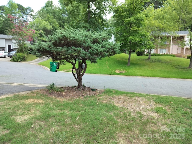 1216 Ogden Pl, Charlotte, NC 28213 - photo 2