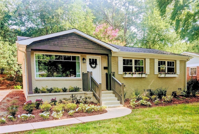 1208 Tarrington Ave, Charlotte, NC 28205 - view of front facade with brick siding and a front yard