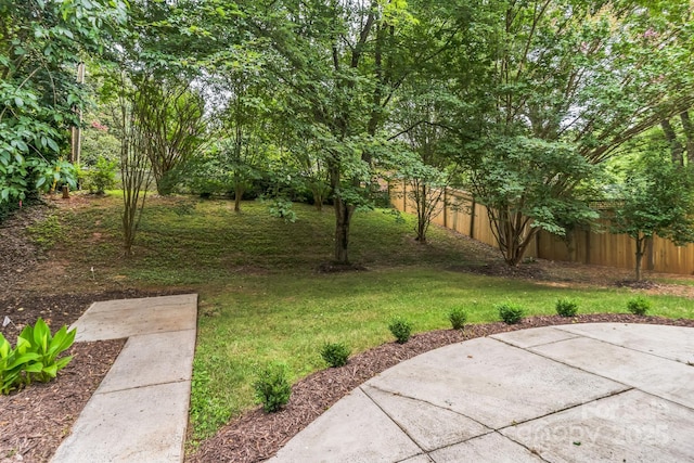 1208 Tarrington Ave, Charlotte, NC 28205 - view of yard featuring a patio area