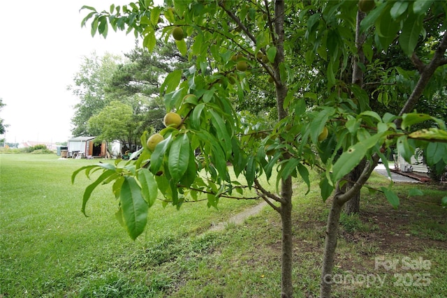 3974 Pleasant Plains Rd, Matthews, NC 28104 - view of grassy yard
