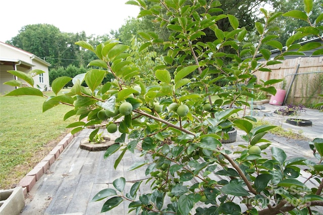 3974 Pleasant Plains Rd, Matthews, NC 28104 - view of yard