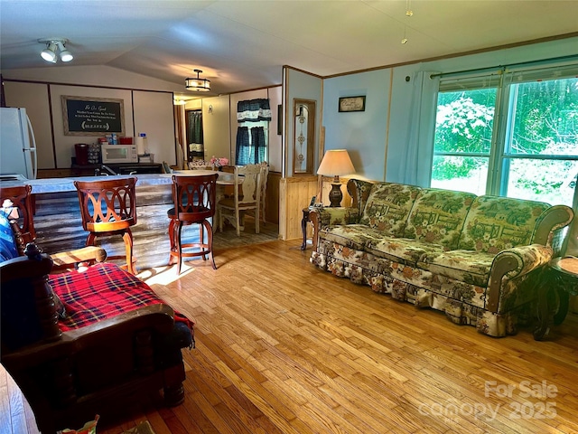 492 Chestnut Mountain Rd, Spruce Pine, NC 28777 - living room featuring lofted ceiling and wood-type flooring