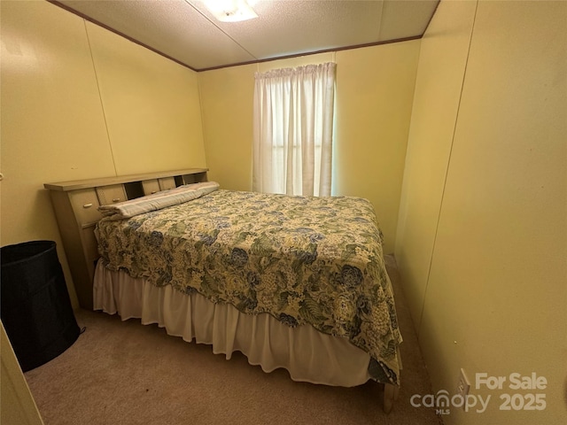 492 Chestnut Mountain Rd, Spruce Pine, NC 28777 - view of carpeted bedroom