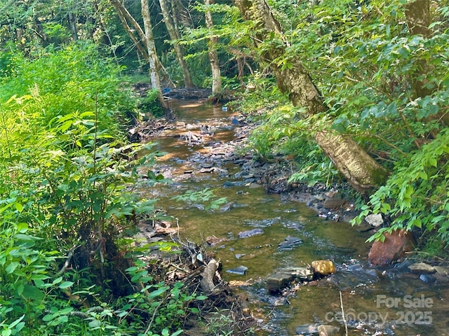 492 Chestnut Mountain Rd, Spruce Pine, NC 28777 - view of local wilderness