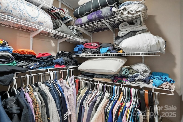 113 Steam Engine Dr Unit 108, Mooresville, NC 28115 - view of walk in closet