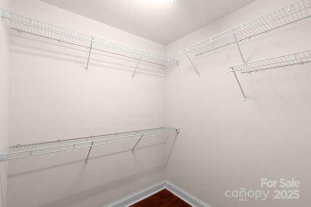 169 Abigail Ln, Locust, NC 28097 - view of walk in closet