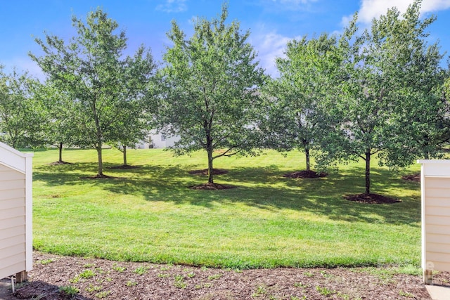 6318 Rhodins Ln, Fort Mill, SC 29707 - photo 33