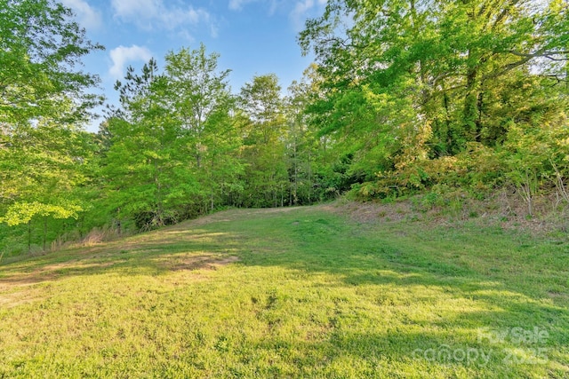 328 Ferrell Ave, Belmont, NC 28012 - photo 24