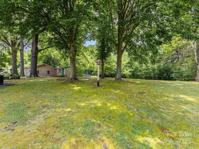 209 11th St, Spencer, NC 28159 - view of grassy yard
