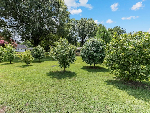 209 11th St, Spencer, NC 28159 - view of grassy yard