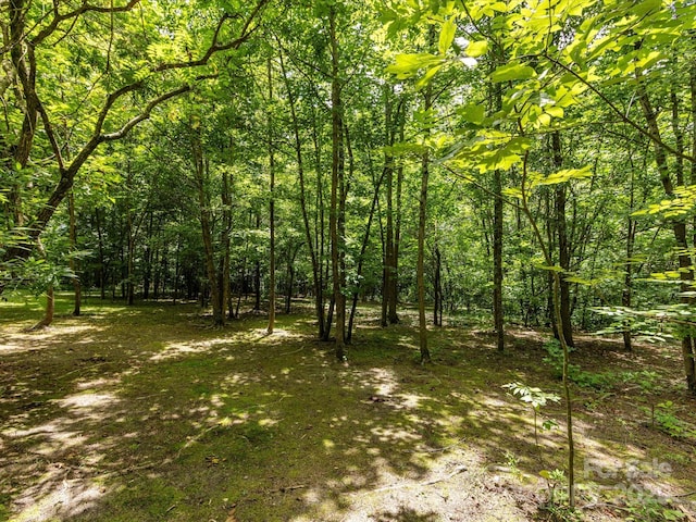 209 11th St, Spencer, NC 28159 - view of tree filled area