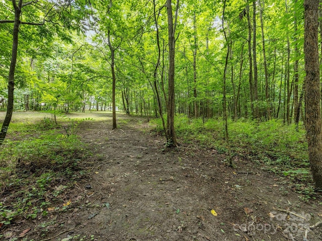 209 11th St, Spencer, NC 28159 - view of woods