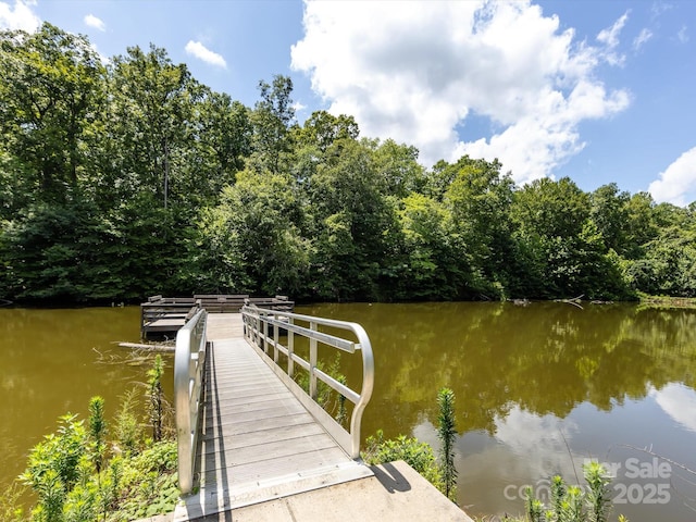 209 11th St, Spencer, NC 28159 - dock featuring a water view and a wooded view