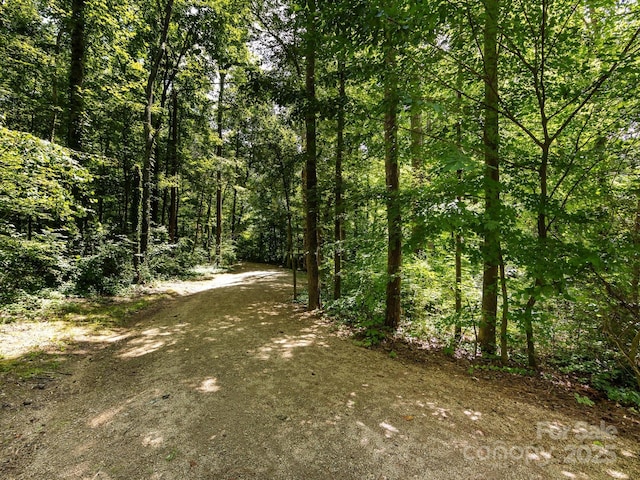 209 11th St, Spencer, NC 28159 - view of road with a wooded view