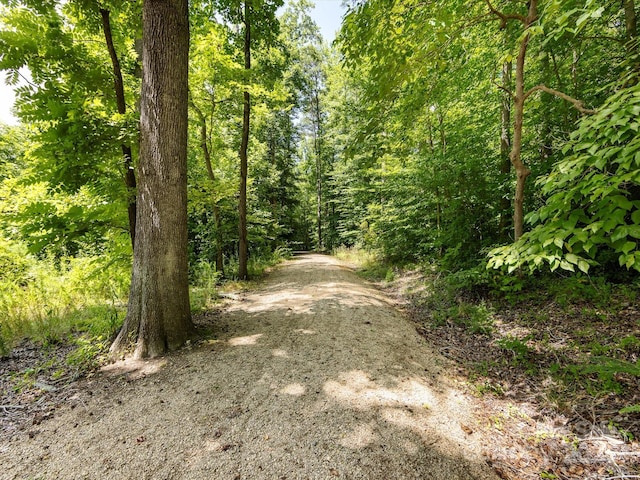 209 11th St, Spencer, NC 28159 - view of street featuring a wooded view