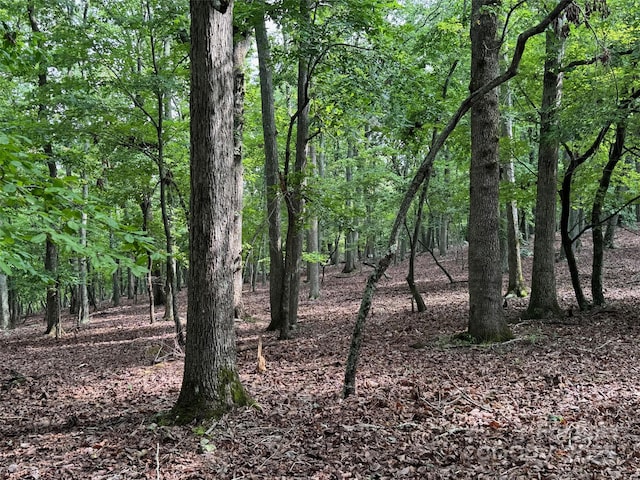 1695 Sierra Trace Rd, Denton, NC 27239 - photo 1