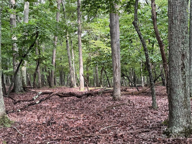 1695 Sierra Trace Rd, Denton, NC 27239 - photo 2