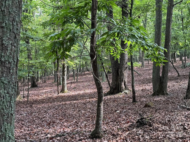1695 Sierra Trace Rd, Denton, NC 27239 - photo 3