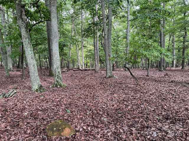 1695 Sierra Trace Rd, Denton, NC 27239 - photo 4