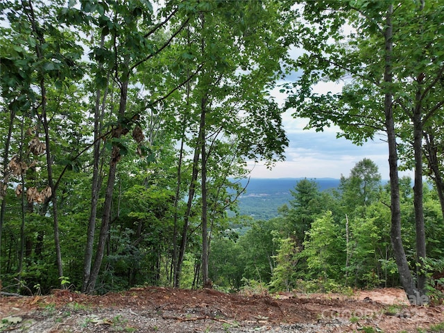 3791 Mountain Vista Dr Unit 26, Morganton, NC 28655