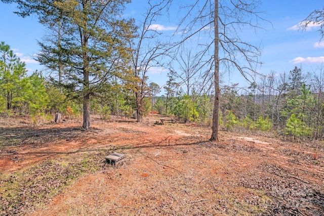 1207 Ashford Rd, Chester, SC 29706 - photo 26