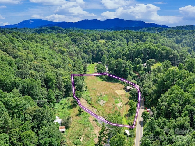 1767 N 226th Hwy, Bakersville, NC 28705 - aerial view of property and surrounding area with a forest and property parcel outlined