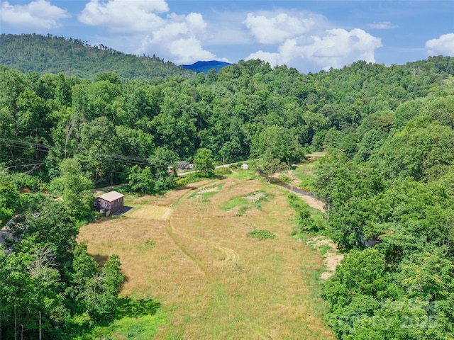 1767 N 226th Hwy, Bakersville, NC 28705 - drone / aerial view of a forest