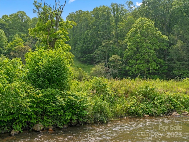 1767 N 226th Hwy, Bakersville, NC 28705 - view of tree filled area