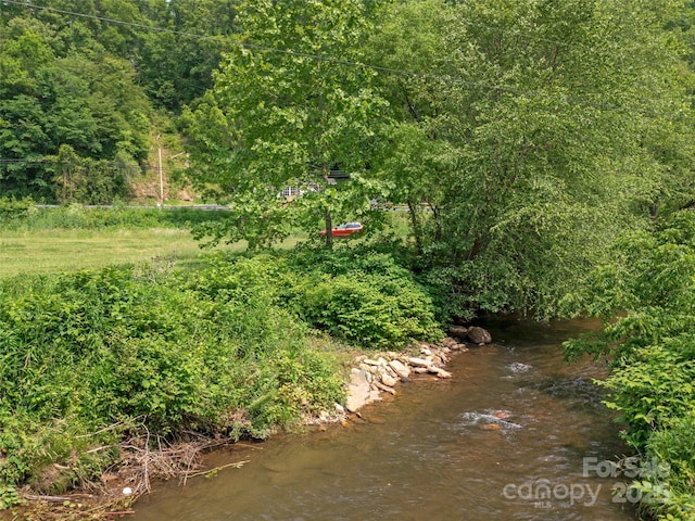 1767 N 226th Hwy, Bakersville, NC 28705 - view of yard