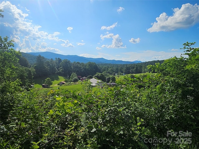 0 Shangrila Trl, Spruce Pine, NC 28777 - photo 1