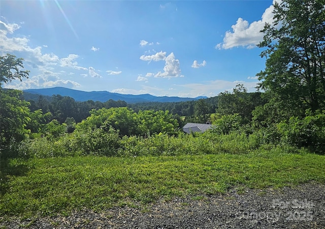 0 Shangrila Trl, Spruce Pine, NC 28777 - photo 3