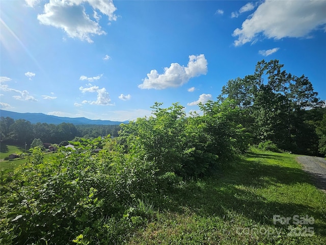 0 Shangrila Trl, Spruce Pine, NC 28777 - photo 4