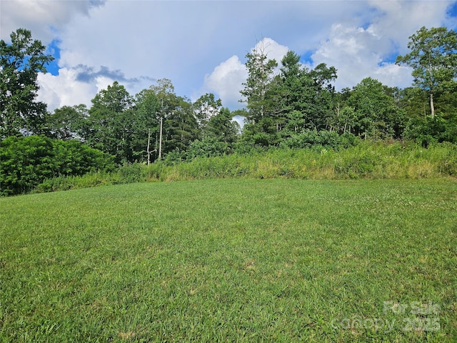 0 Shangrila Trl, Spruce Pine, NC 28777 - photo 11
