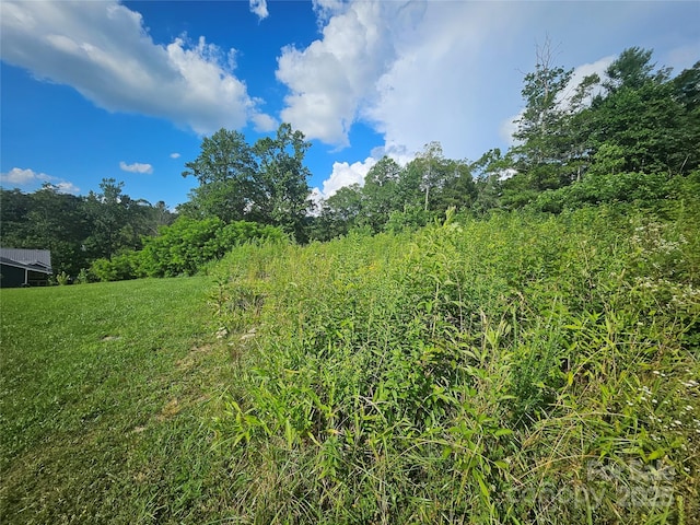 0 Shangrila Trl, Spruce Pine, NC 28777 - photo 15