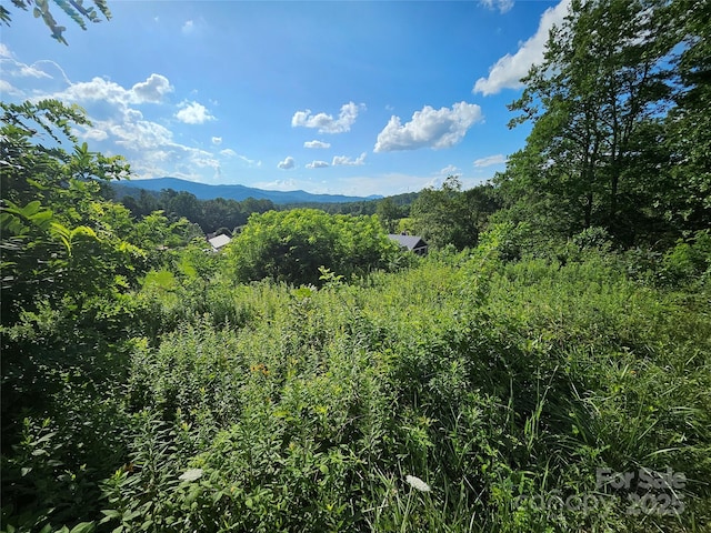 0 Shangrila Trl, Spruce Pine, NC 28777 - photo 19