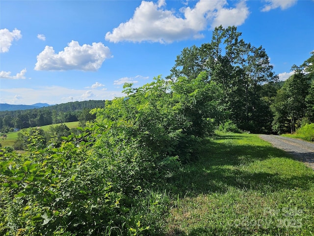 0 Shangrila Trl, Spruce Pine, NC 28777 - photo 20