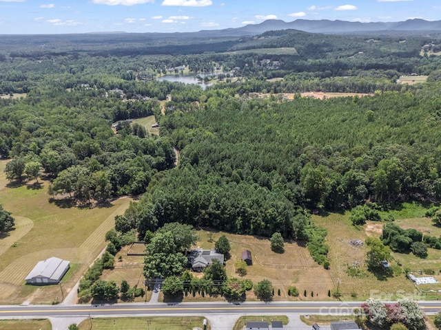 5990 S NC-9 Hwy, Tryon, NC 28782 - photo 39