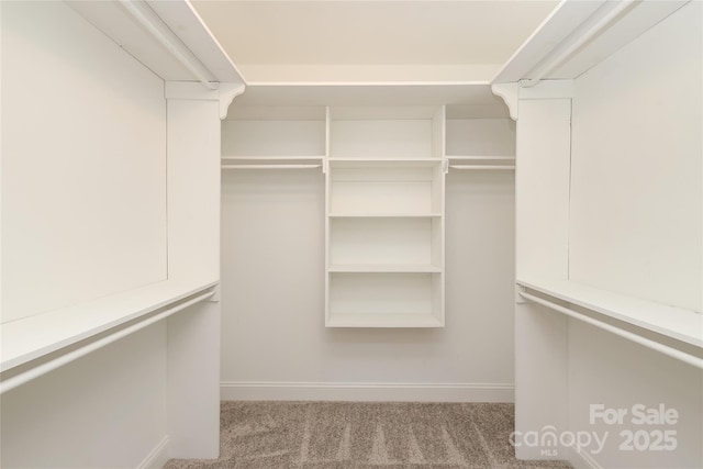 4350 Old Saybrook Ct, Charlotte, NC 28211 - walk in closet with carpet floors